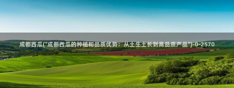 西瓜视频在线免费观看