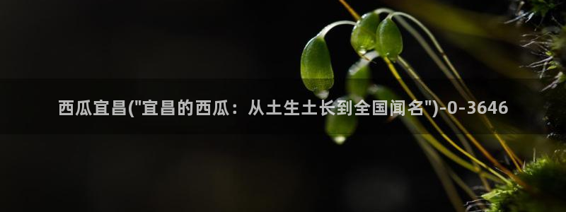 西瓜影院在线观看完整版