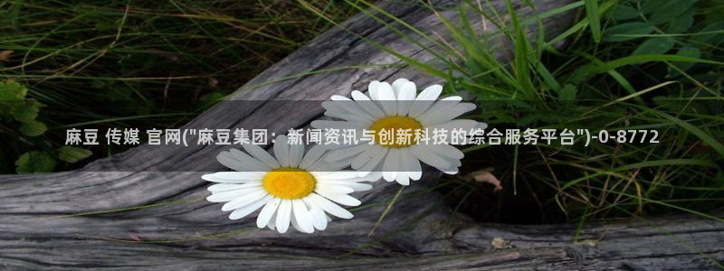 麻豆 合集专区：麻豆 传媒 官网(\
