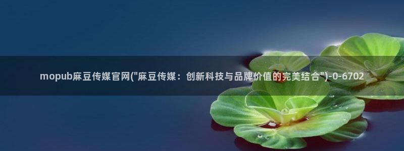 麻豆视频最新：mopub麻豆传媒官网(\