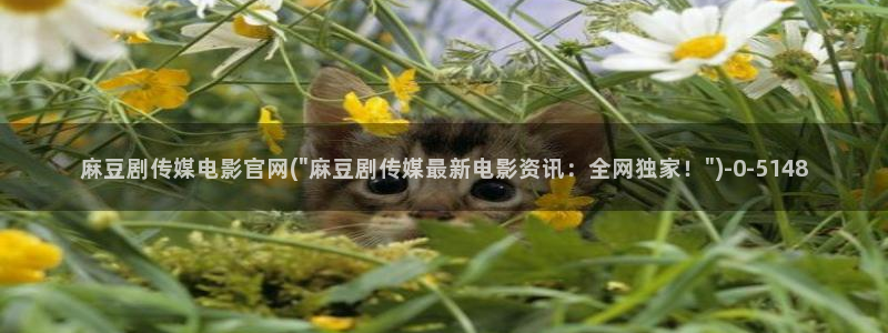 麻豆视频更新下载：麻豆剧传媒电影官网(\