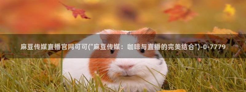 麻豆视频 更新在线看：麻豆传媒直播官网可可(\