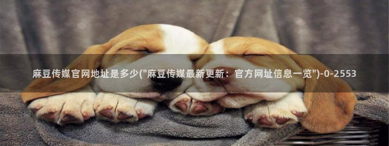 麻豆 入口完整版：麻豆传媒官网地址是多少(\
