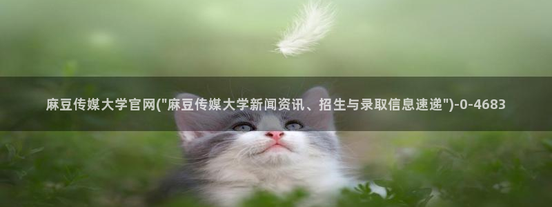 麻豆视频 内容合集：麻豆传媒大学官网(\