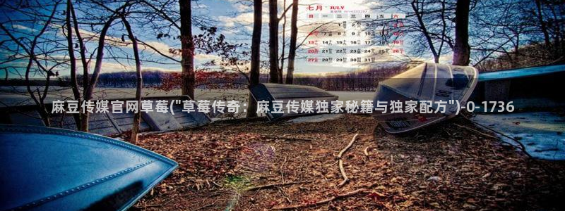 麻豆视频 官方：麻豆传媒官网草莓(\