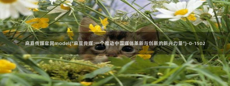 麻豆视频 专区最新：麻豆传媒官网model(\