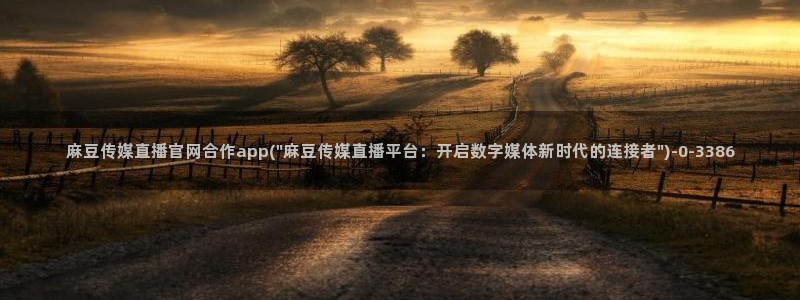 麻豆 官方整理：麻豆传媒直播官网合作app(\