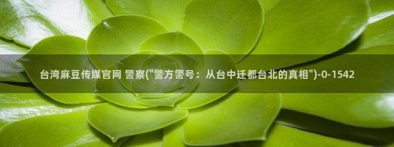 麻豆视频热门高清：台湾麻豆传媒官网 警察(\