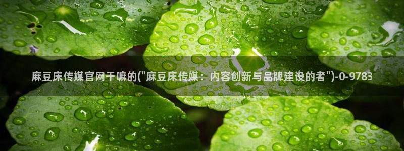 麻豆视频 资源最新：麻豆床传媒官网干嘛的(\