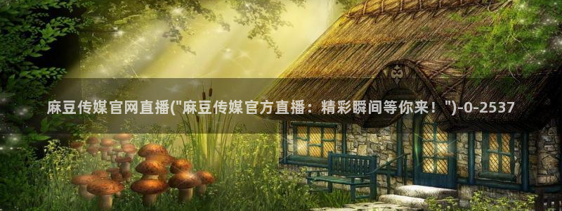 麻豆视频高清入口：麻豆传媒官网直播(\