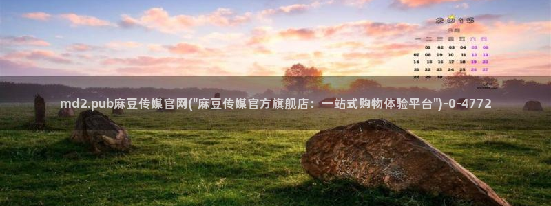 麻豆视频高清最新：md2.pub麻豆传媒官网(\
