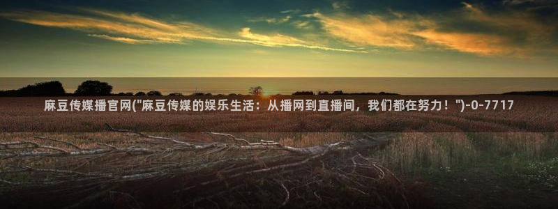 麻豆 最新更新：麻豆传媒播官网(\