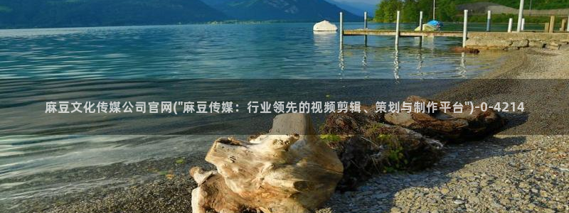 麻豆合集视频：麻豆文化传媒公司官网(\