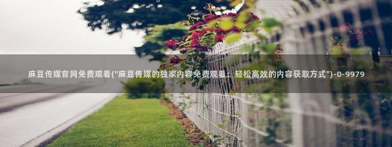 麻豆 合集视频：麻豆传媒官网免费观看(\