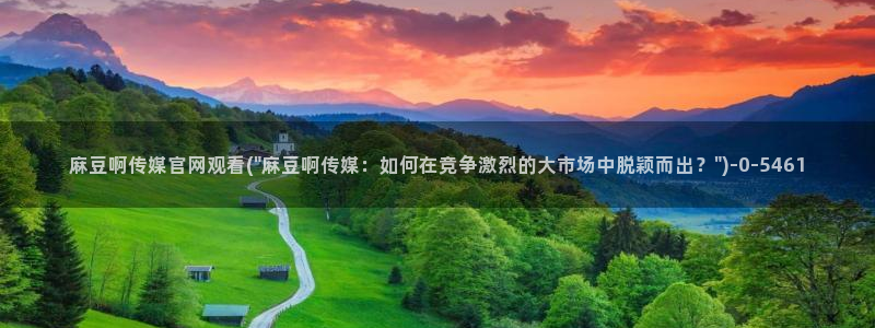 麻豆视频完整版导航：麻豆啊传媒官网观看(\