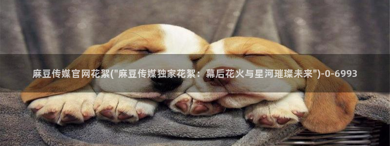 麻豆 合集完整版：麻豆传媒官网花絮(\