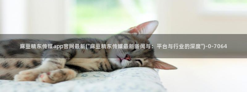 麻豆视频 入口推荐：麻豆精东传媒app官网最新(\