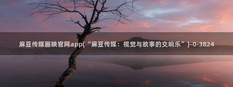 麻豆视频精选视频：麻豆传媒画映官网app(“麻豆传媒：视