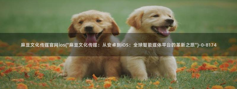 麻豆 高清：麻豆文化传媒官网ios(\