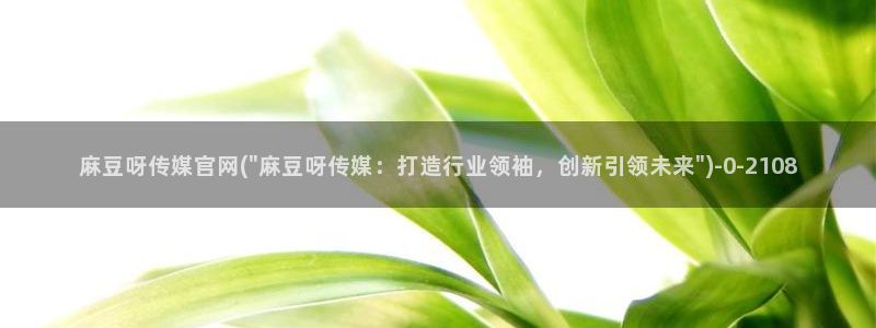 麻豆视频 站入口：麻豆呀传媒官网(\