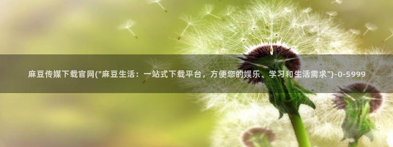 麻豆视频 系列合集：麻豆传媒下载官网(\