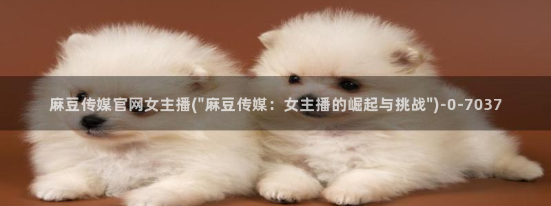 麻豆视频 在线看下载：麻豆传媒官网女主播(\
