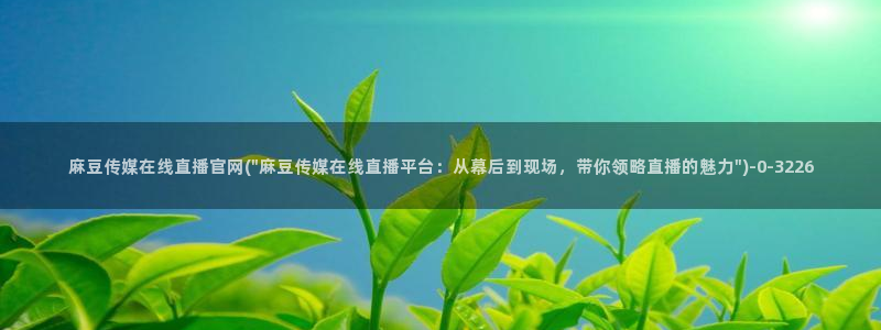 麻豆 入口导航：麻豆传媒在线直播官网(\