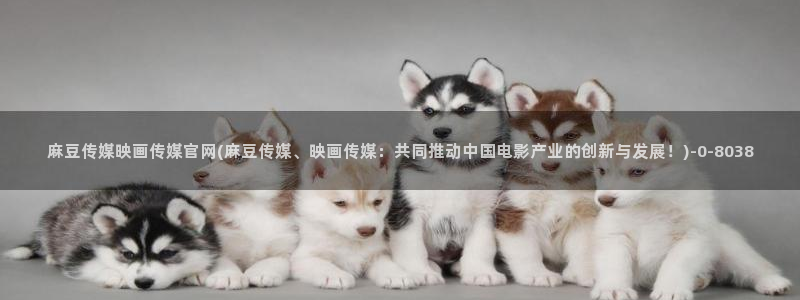 麻豆视频完整版页面：麻豆传媒映画传媒官网(麻豆传媒、映画